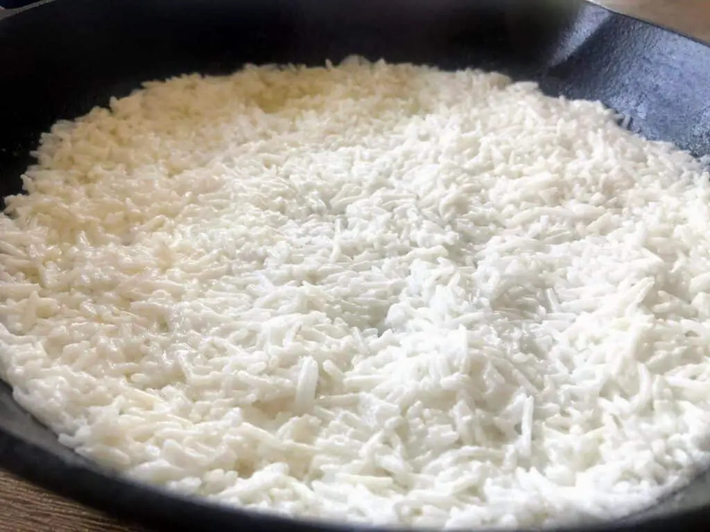 rice greek yogurt mixture pan