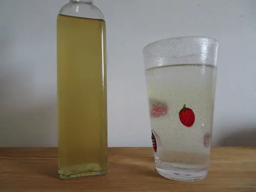 bottle of cordial beside a glass of elderberry cordial