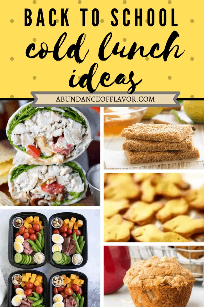 Back to School Cold Lunch Ideas - Abundance of Flavor