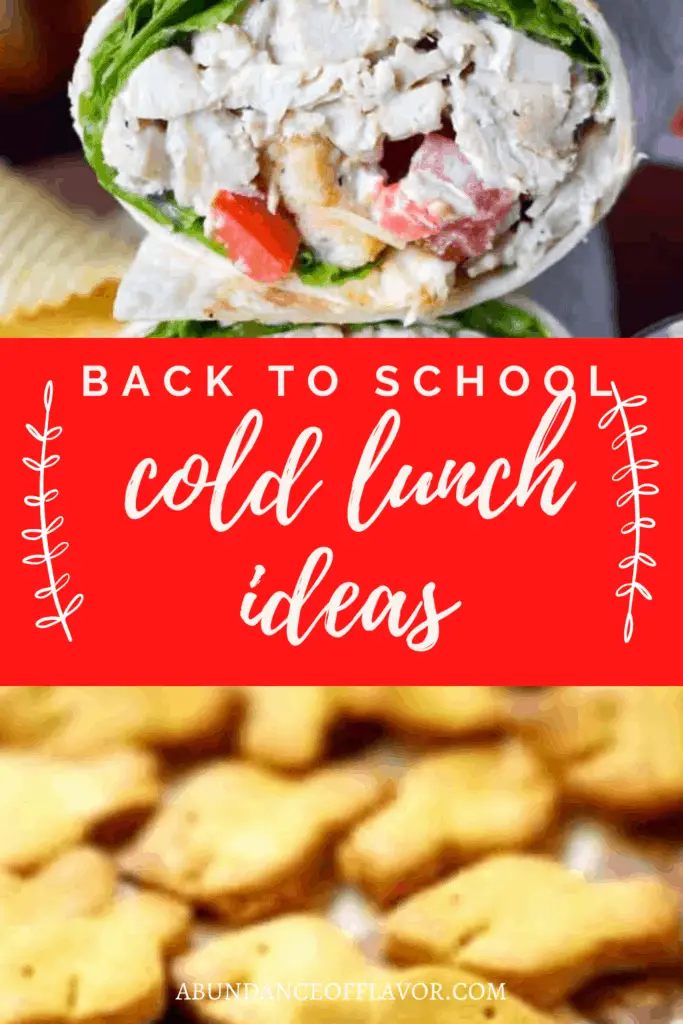 Easy Lunch Ideas - How To Pack Cold and Hot Lunches - Olga's Flavor Factory