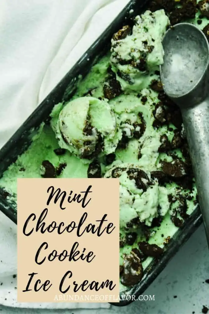 mint chocolate cookie pin